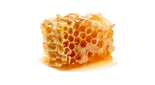 Honeycomb piece on a white background