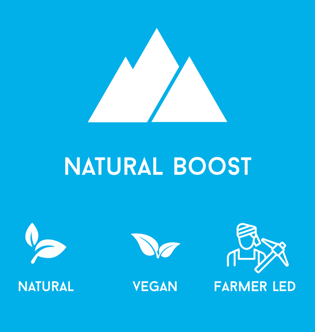Logo and branding elements for 'Natural Boost' on a blue background